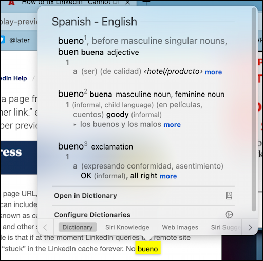 mac macos 13 - dictionary app - in-line dictionary extension spanish bueno