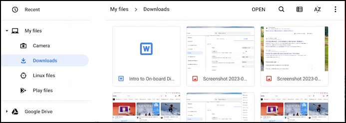 chromebook google docs save local - file browser 'downloads'