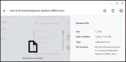 chromebook google docs save local - zip archive