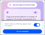google search enable search generative experience (sge) AI chat features