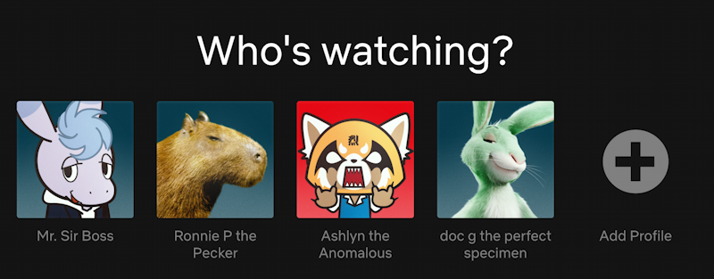 netflix profiles add new - slot open to add new profile