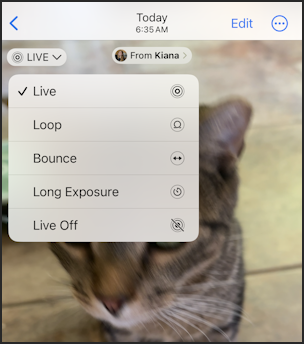 iphone live photo - photos live menu option