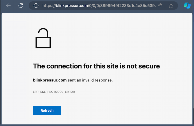 email you've been infected viruses scam email - connection not secure