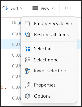 win11 recycle bin - file explorer additional menu options