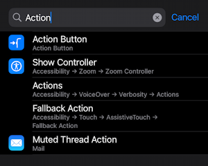 ios 17 iphone action button translate - settings search 'action'