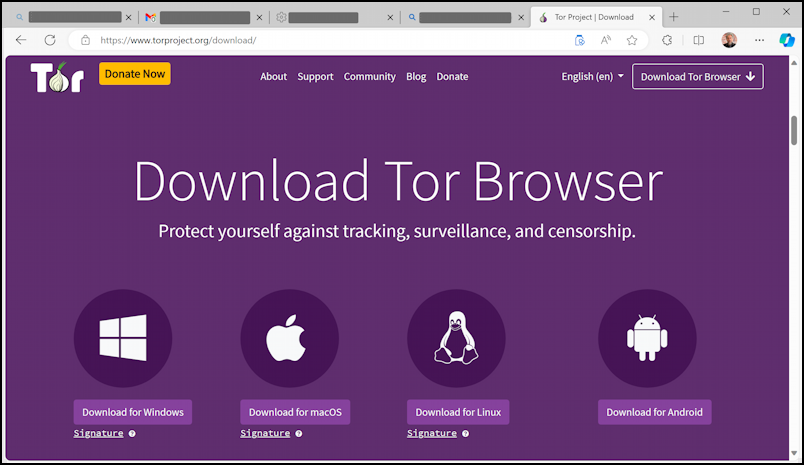 tor browser windows pc - web site