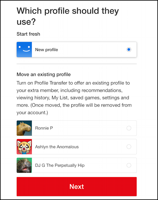 netflix remote access add extra member - use what profile
