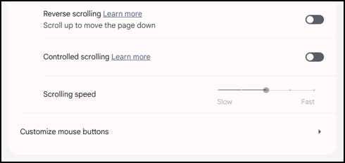 chromebook chromeos customize mouse buttons - more options