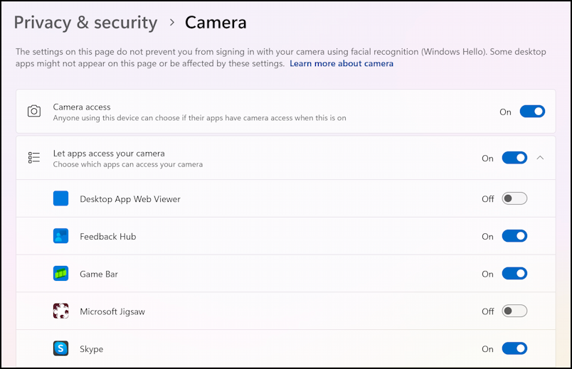 windows 11 camera access - list of apps with access webcam