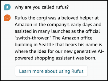 amazon rufus ai - why are you called rufus?