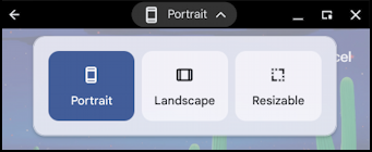 chatgpt perplexity ai on chromebook - app orientation