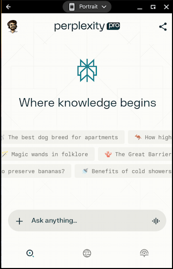 chatgpt perplexity ai on chromebook - main screen