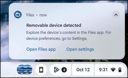 chromebook chromeos external drive - recognized