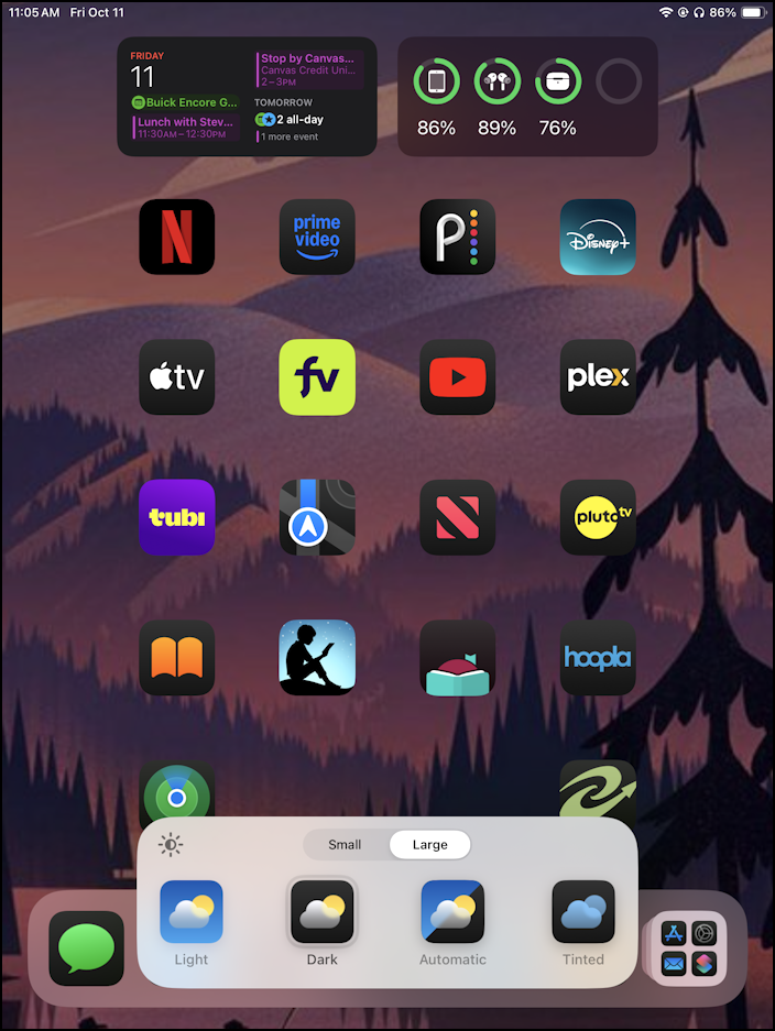ipad mini ipados 18 customize home screen - no app names
