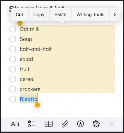 iPhone iOS Notes – create a bullet/checklist