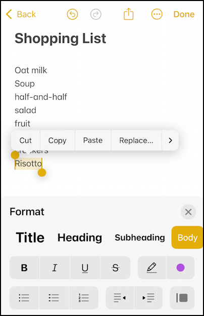 iPhone iOS Notes – tool tip toolbar 1
