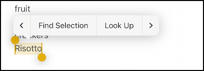 iPhone iOS Notes – floating toolbar 4