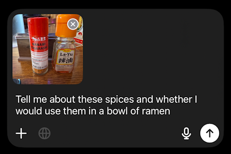 ai test chatgpt vs copilot - chatgpt spice photo analysis