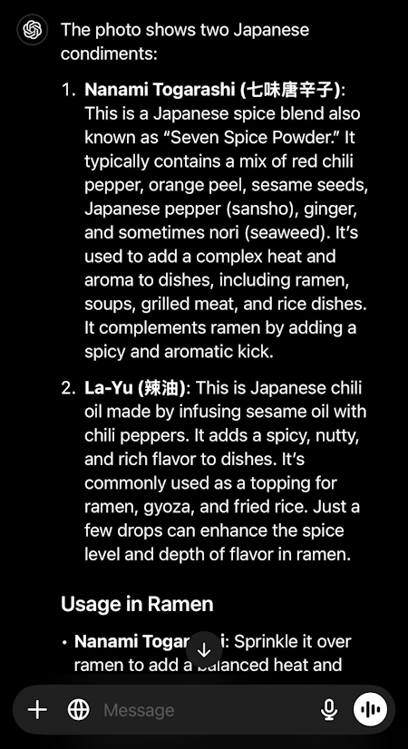 ai test chatgpt vs copilot - chatgpt spice photo analysis for ramen soup