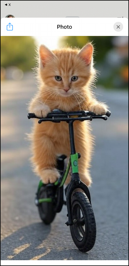 grok ai iphone ios app - kitten on a bicycle