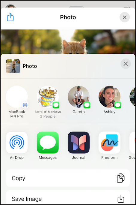 grok ai iphone ios app - share panel 
