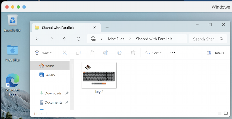 parallels desktop mac windows 11 - win11 with Mac shared folder
