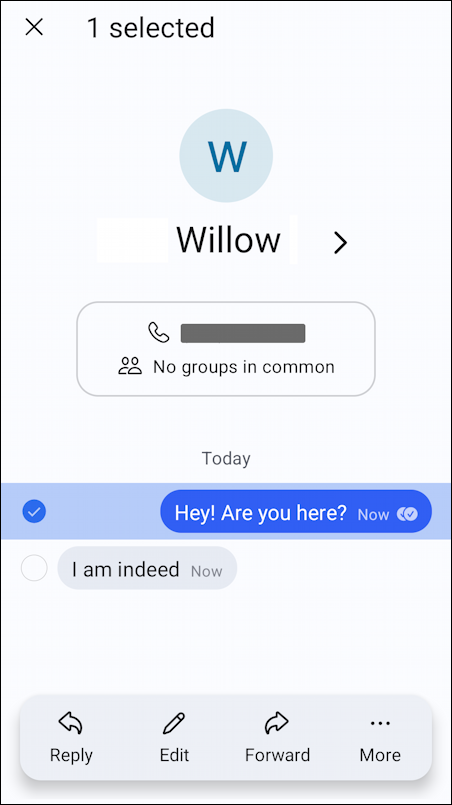 signal disappearing chat text messages - response