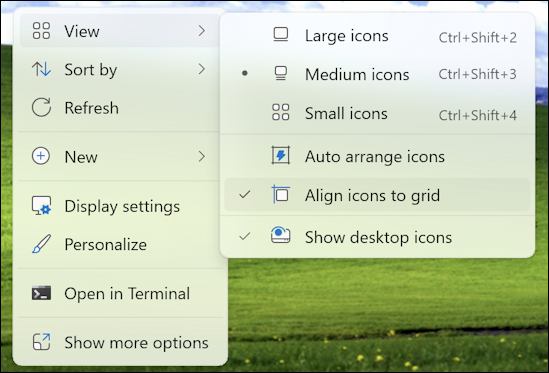 win11 pc desktop snap to grid trash recycle bin - desktop context menu > view